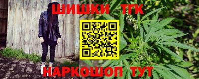 мдпв Славгород