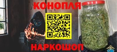 мдпв Славгород