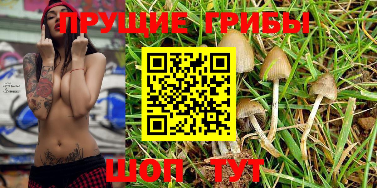 Галлюциногенные грибы MAGIC MUSHROOMS  Псилоцибиновые грибы прущие грибы  Вход с VPN  Мценск 